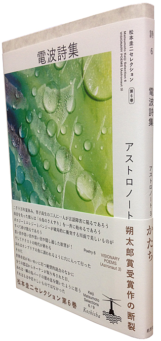 詩集『ロング・リリイフ』松本圭二 - 文学/小説