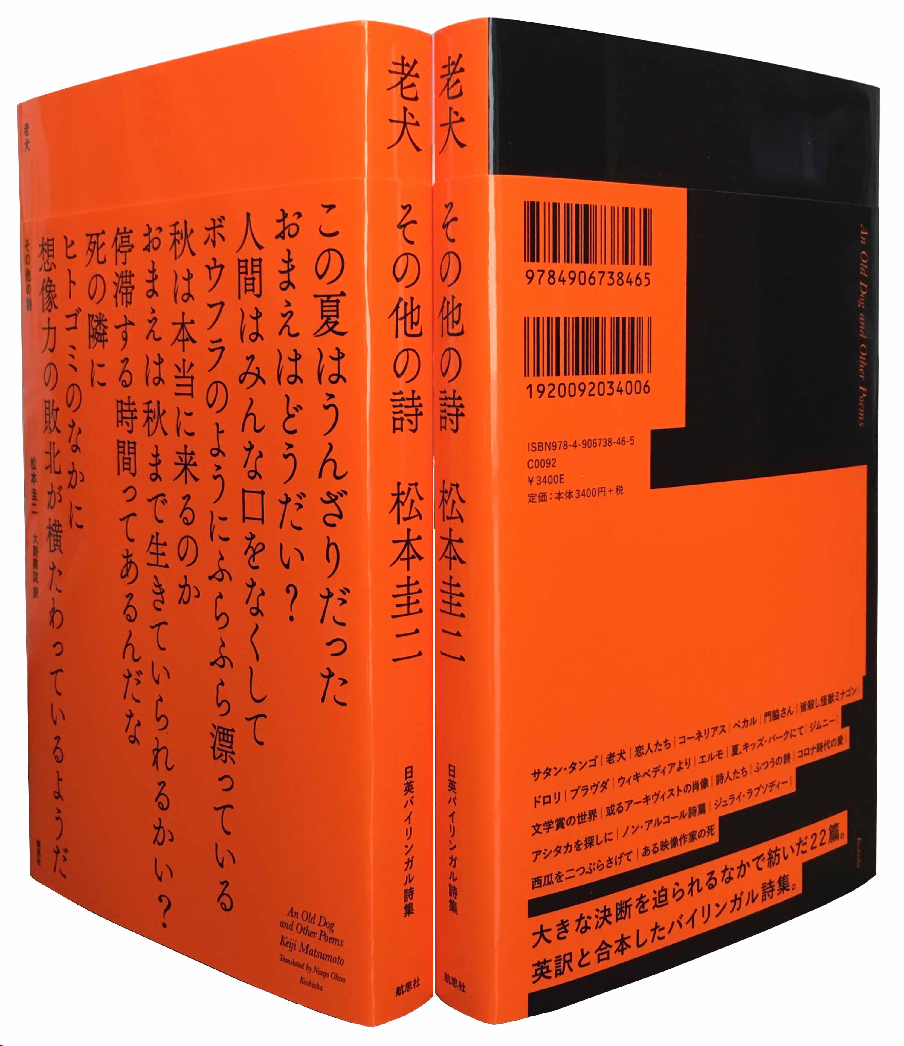 詩集『ロング・リリイフ』松本圭二 - 文学/小説